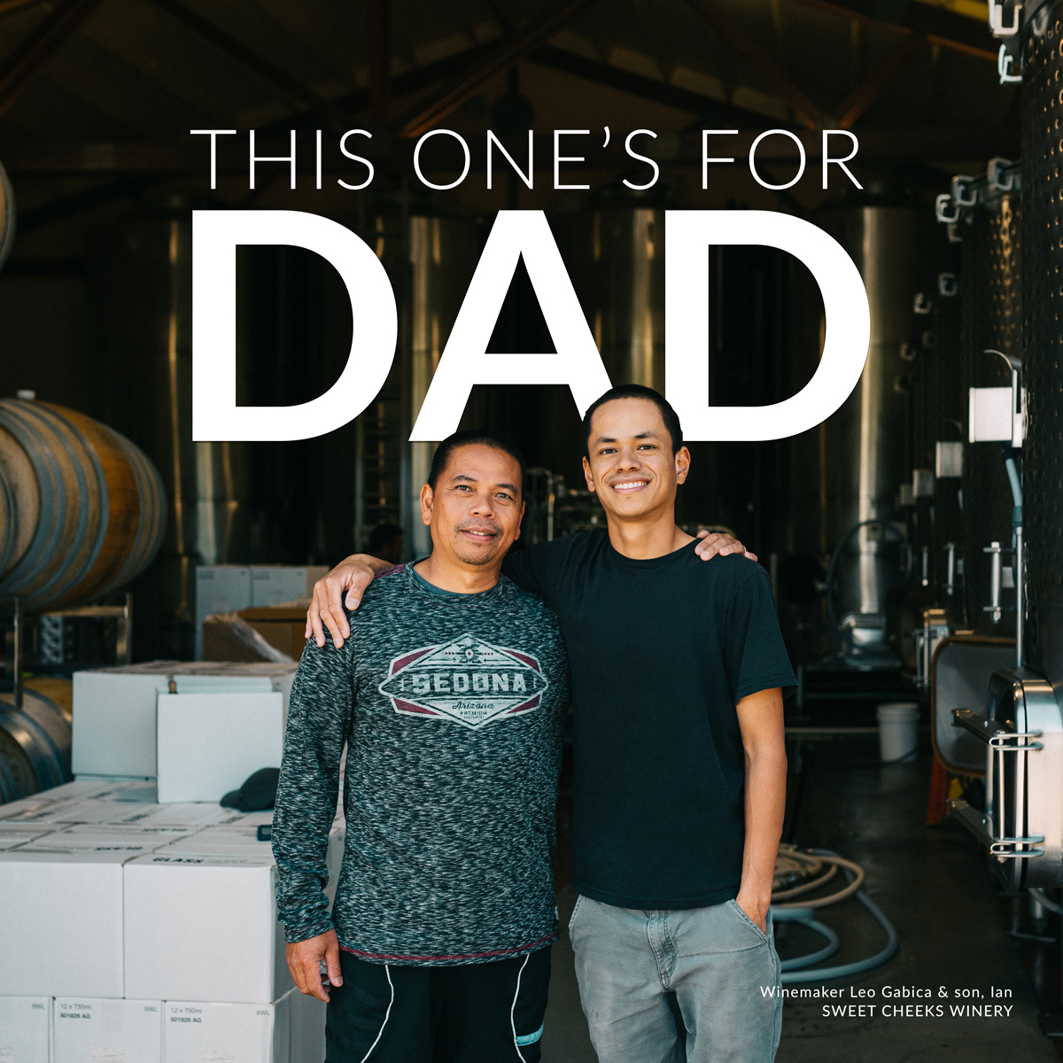 Winemaker Dads Interviews